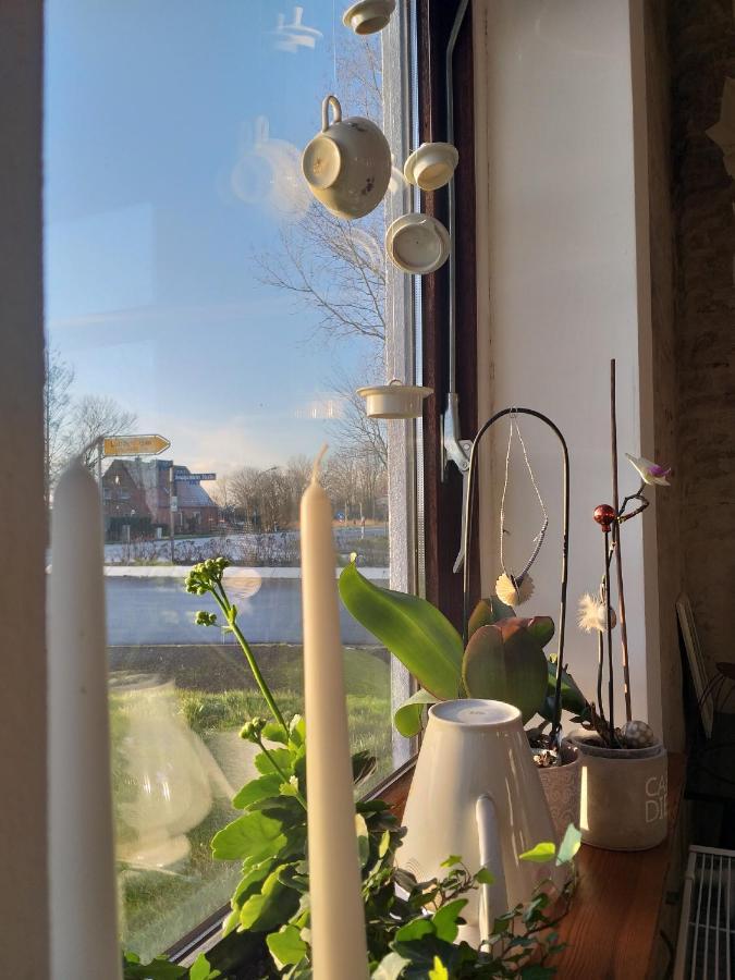 Ahoi Bed and Breakfast Wesselburenerkoog Εξωτερικό φωτογραφία